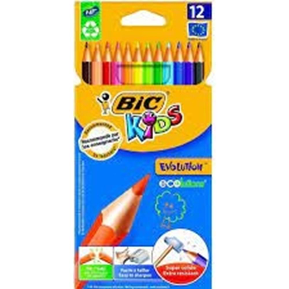 bic kuru boya 12 li karton kutu