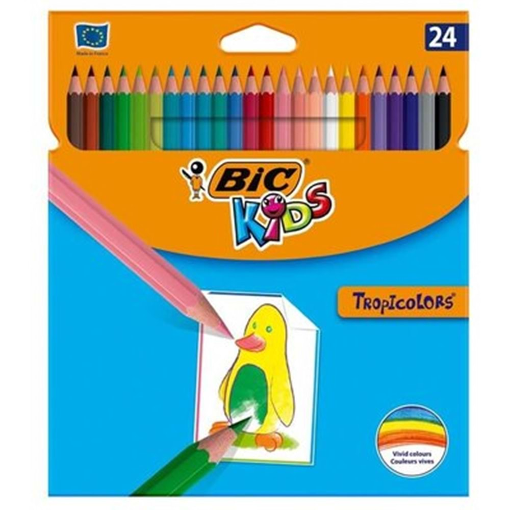 bic kuru boya 24 lü karton kutu