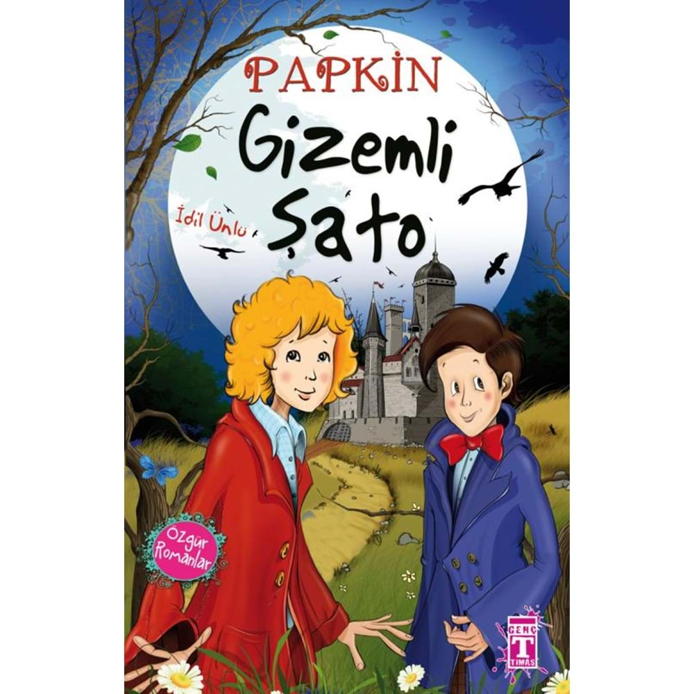 papkin - gizemli şato - idil ünlü - timaş yayınları