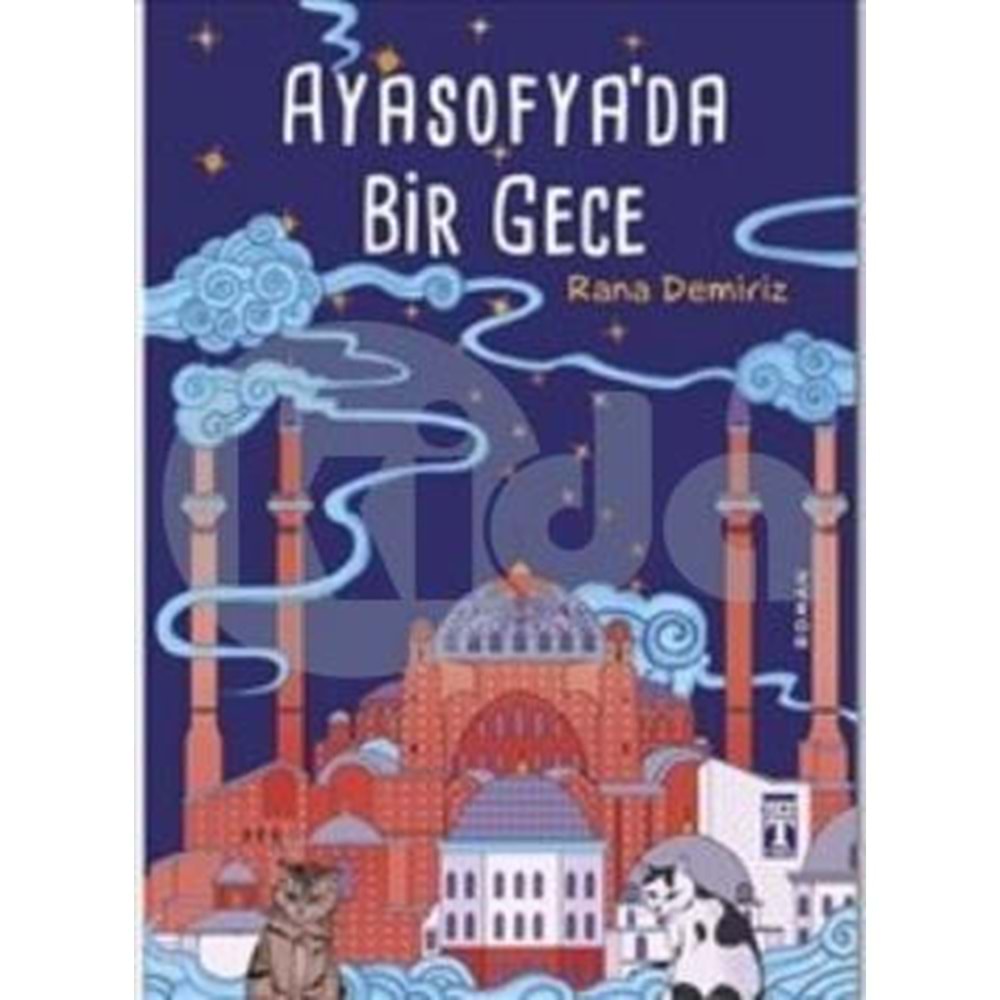 ayasofyada bir gece - rana demiriz - timaş